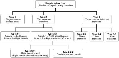 Development of three-dimensional canine hepatic tumor model based on computed tomographic angiography for simulation of transarterial embolization